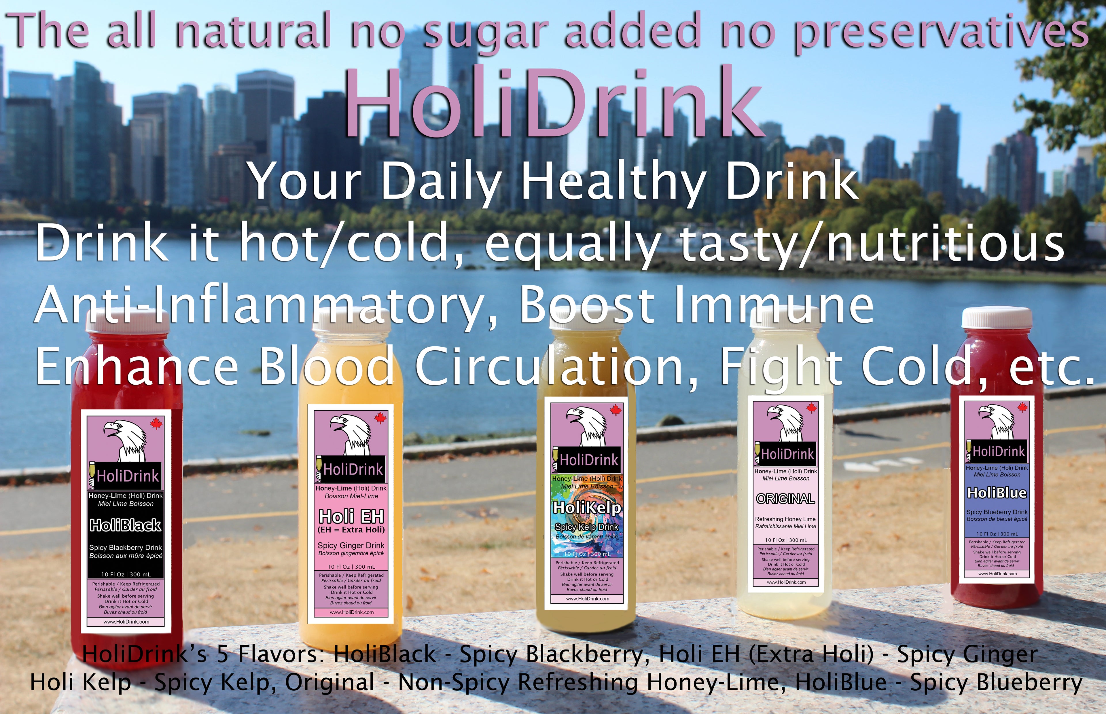 Mixed HoliDrink's 5 flavors 5x 300 mL or 10 Fl Oz PET bottles