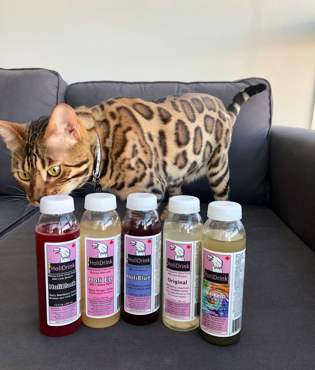 Mixed HoliDrink's 5 flavors 5x 300 mL or 10 Fl Oz PET bottles