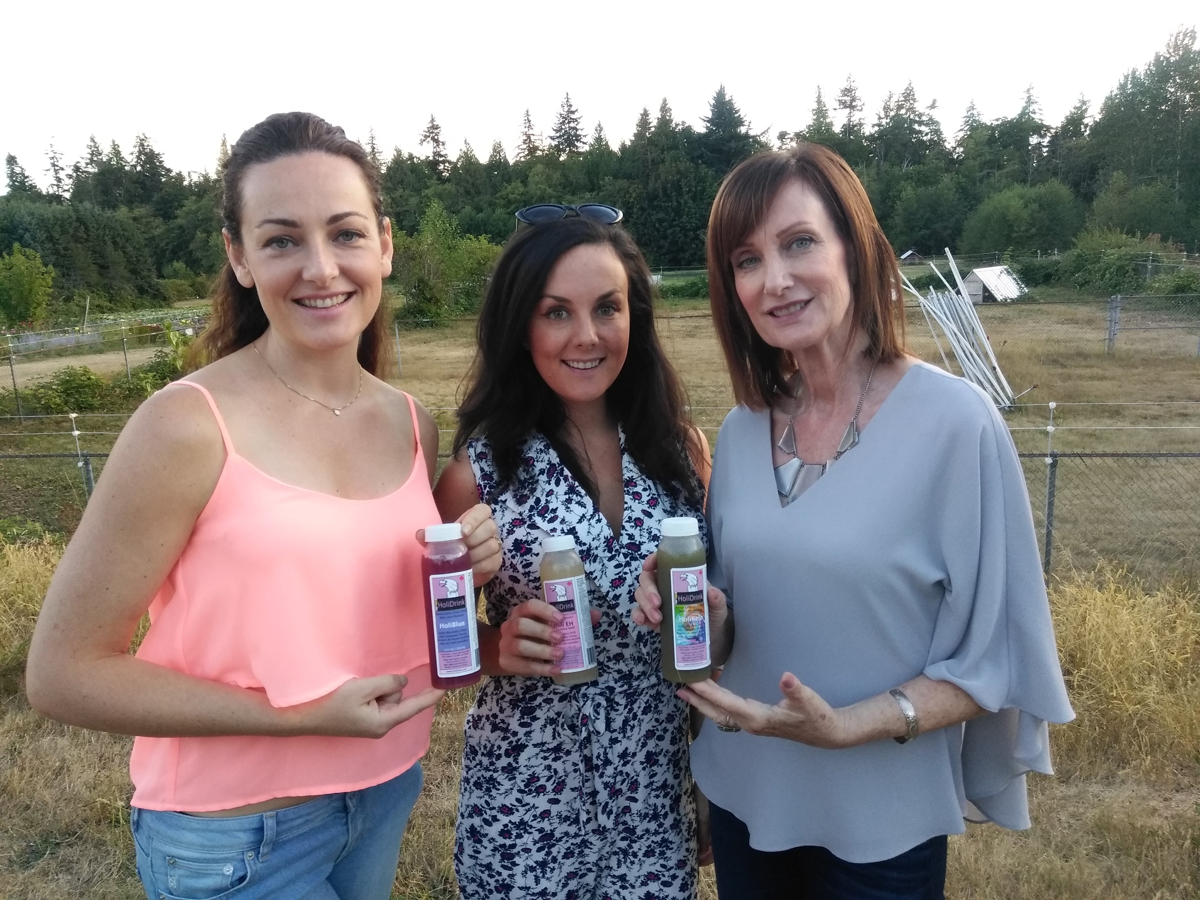 Mixed HoliDrink's 5 flavors 12x 300 mL or 10 Fl Oz PET bottles